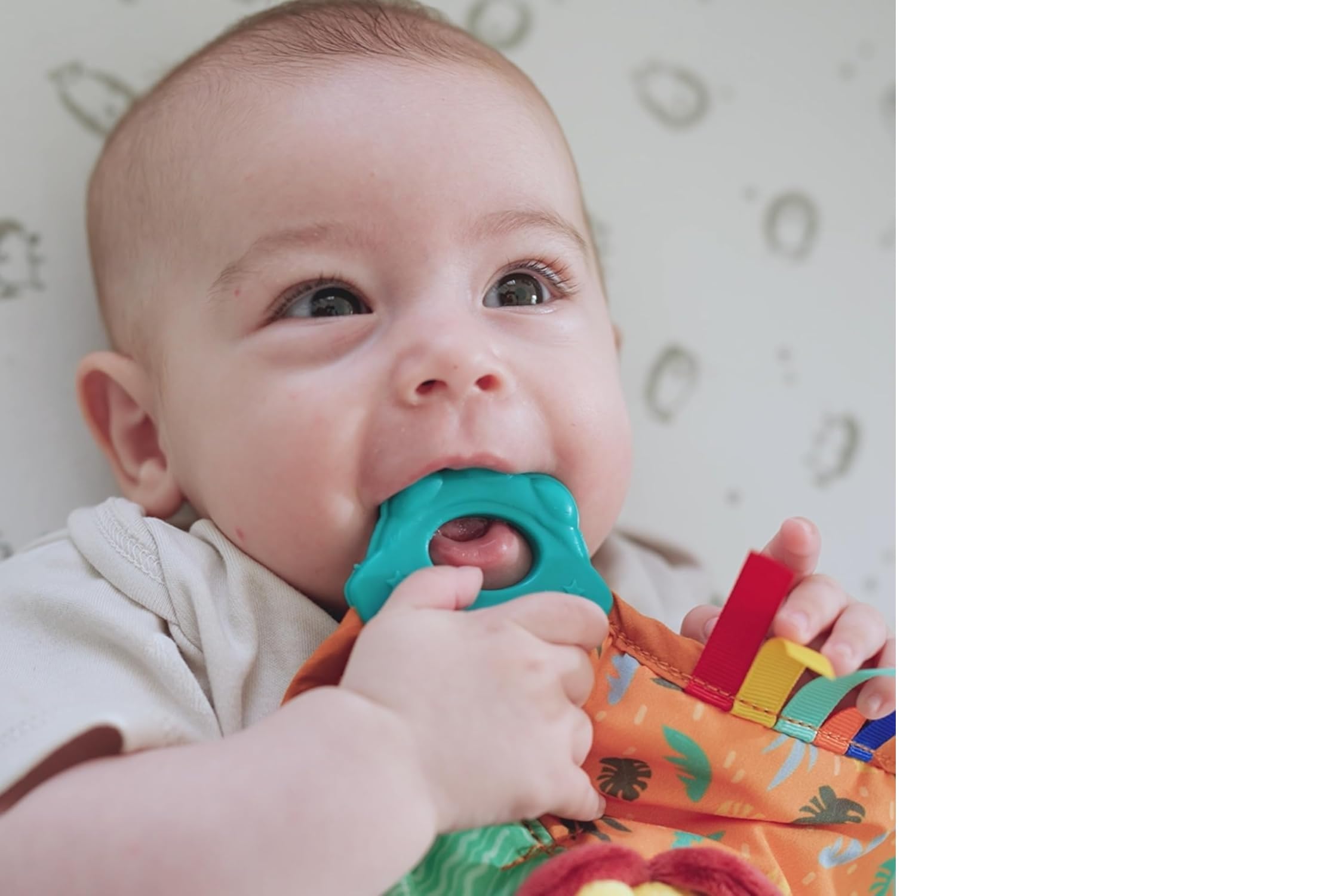 Nuby Doudou de Dentition Lion Multiples Surfaces 3+ Mois