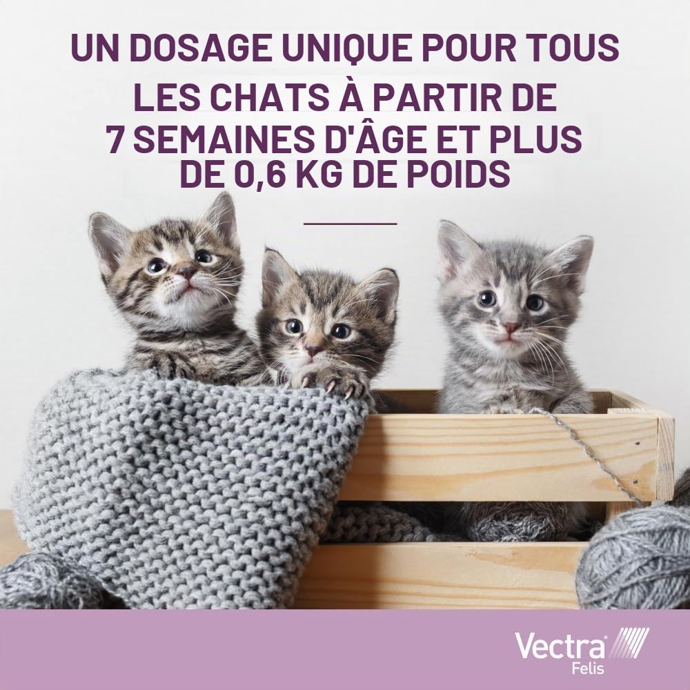Vectra Felis Antiparasitaire pour Chats, 3 pipettes Anti-puces en Solution Spot-on pour Chatons et Chats Adultes, Traitement et prévention des puces Chat