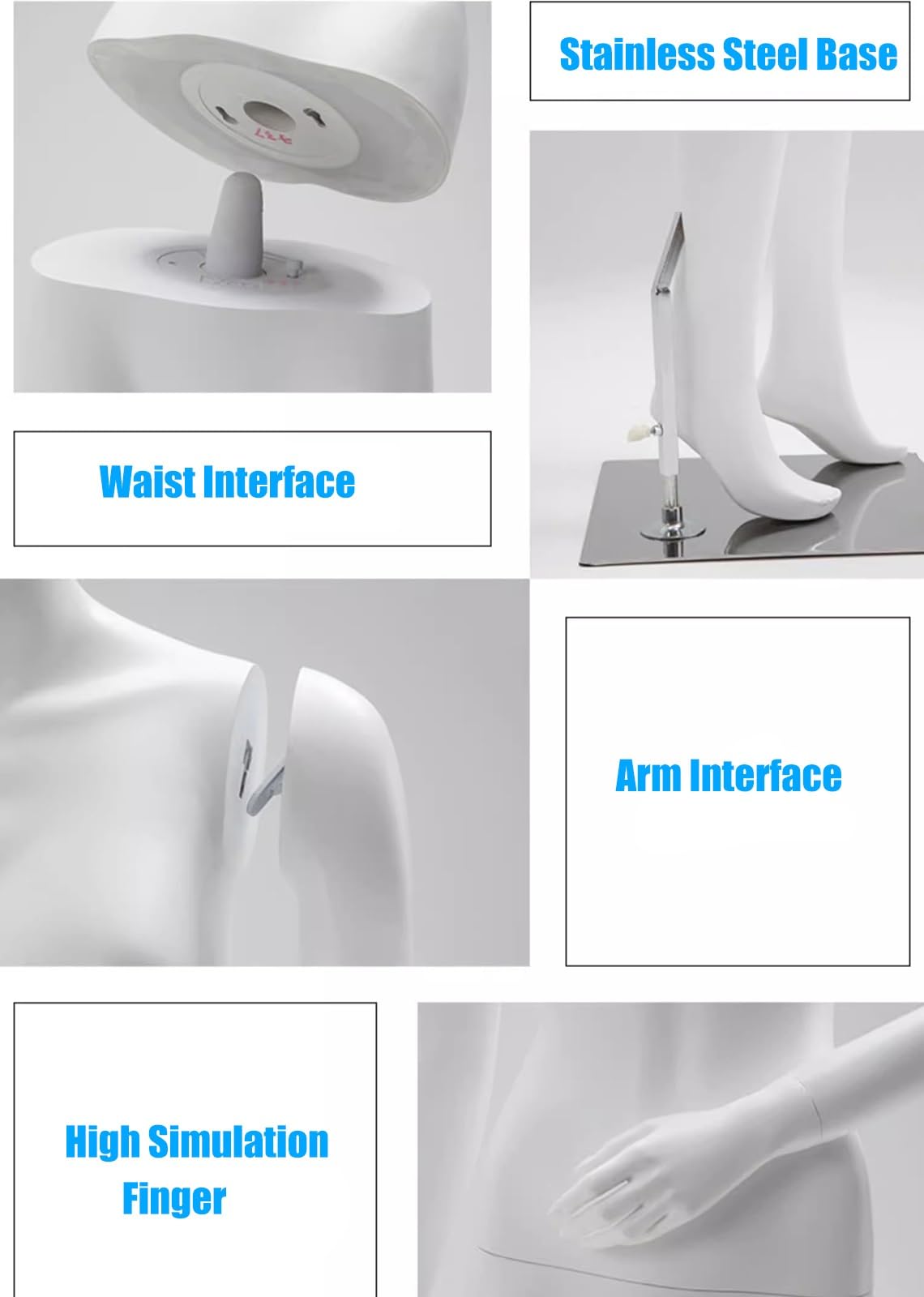 Amazon.co.jp: トルソー マネキン ドレスフォーム トルソボディ 女性