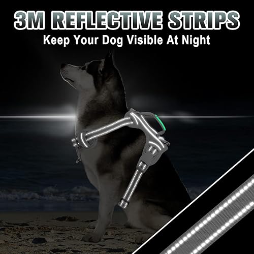 Miniatura 6 de BARKBAY - Arnés sin tirones para perro reflectante con clip frontal y asa de fácil control para entrenamiento de caminata correr con bolsillo para