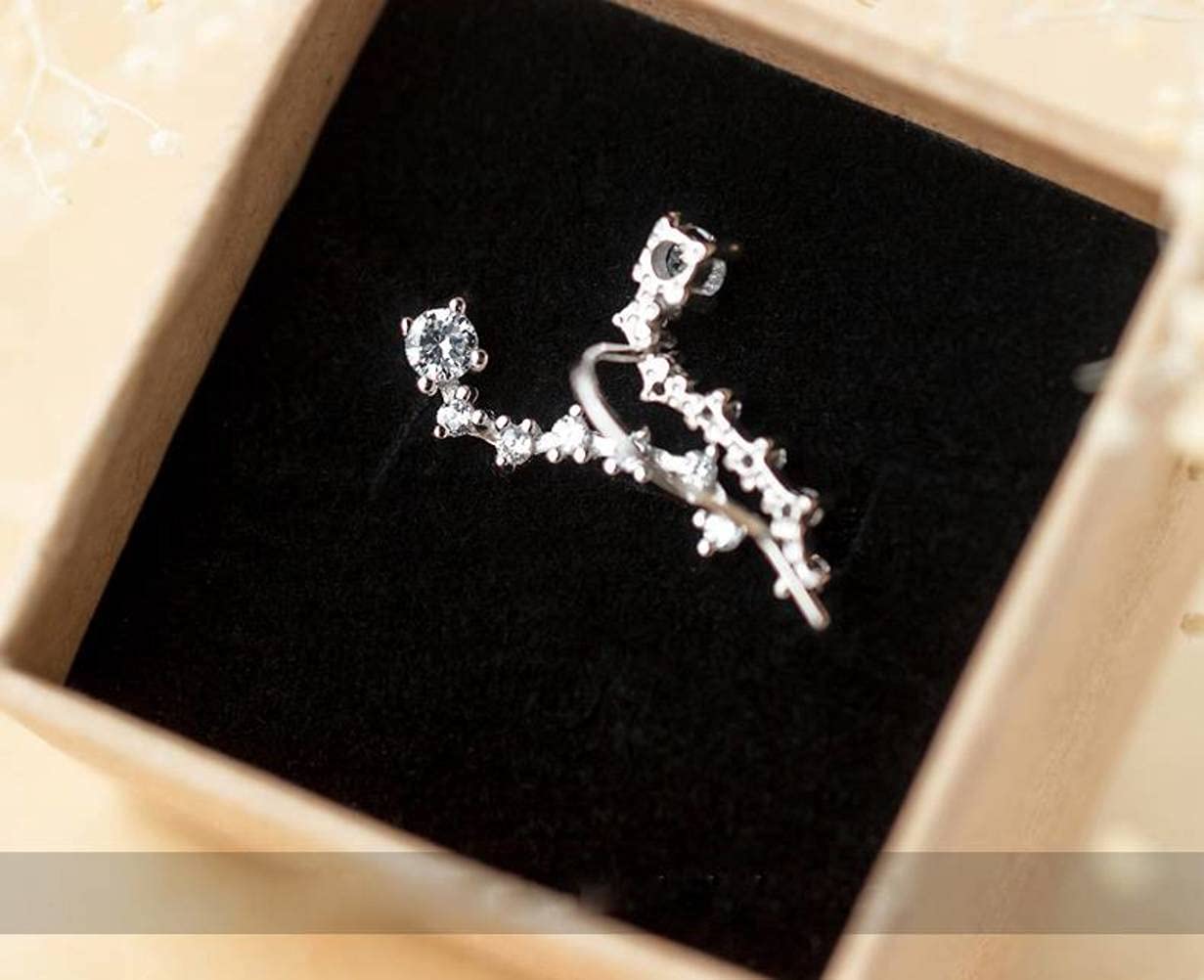 S925 Biała klamra z grzybem, rząd uszu Zaczep na ucho Big Dipper Diamentowe kolczyki sztyfty Kolczyki Biżuteria Damska para srebra S925 (nazwa koloru: para srebra S925) (para srebra S925)