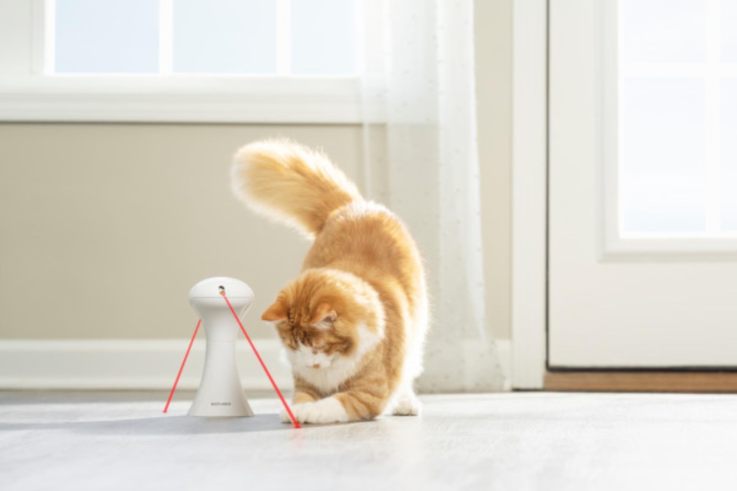 PetSafe Multi-Light Katzenspielzeug – 0,34 kg