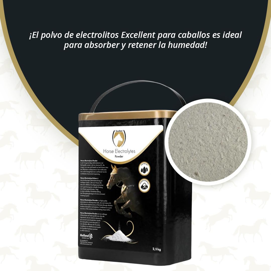 Caballo electrolitos Poeder pone B2 Emmer 2,5 kg