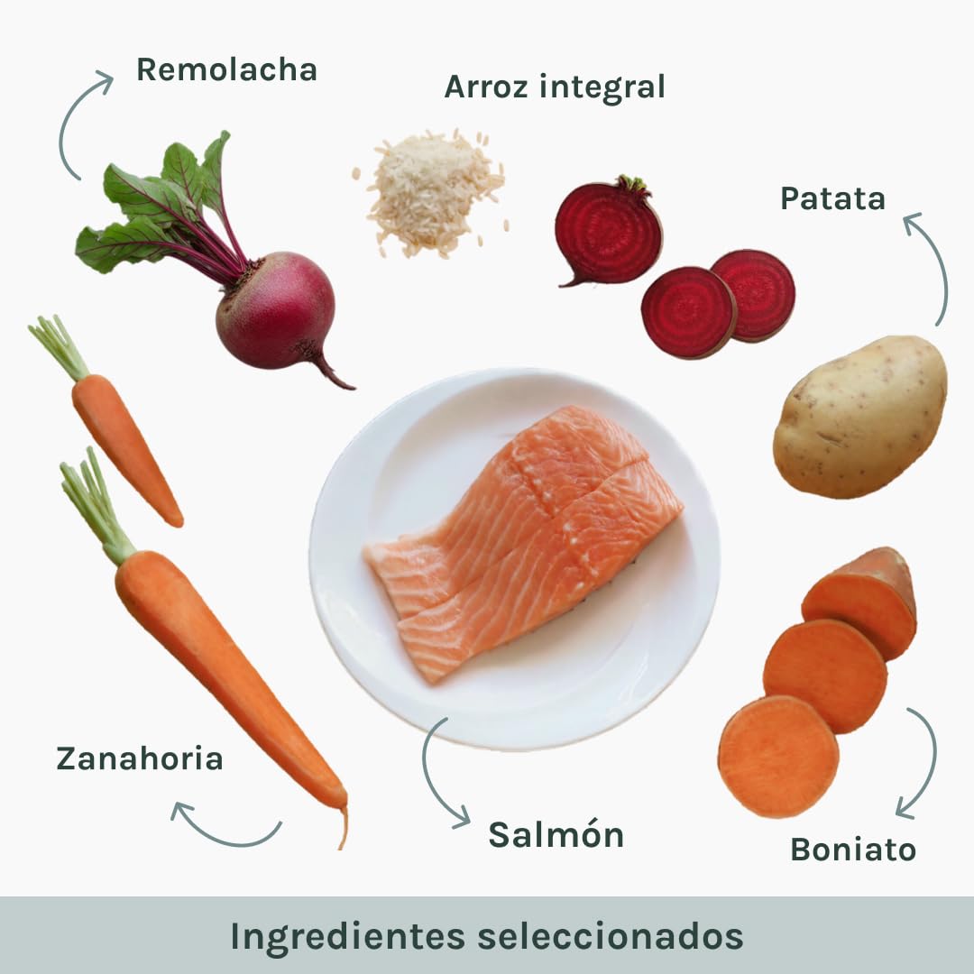 BUBBO Senior Pienso Natural con Salmón Sin Gluten - Vitalidad y Bienestar en Perros Mayores | Control de Peso, Articulaciones y Digestión (12kg)