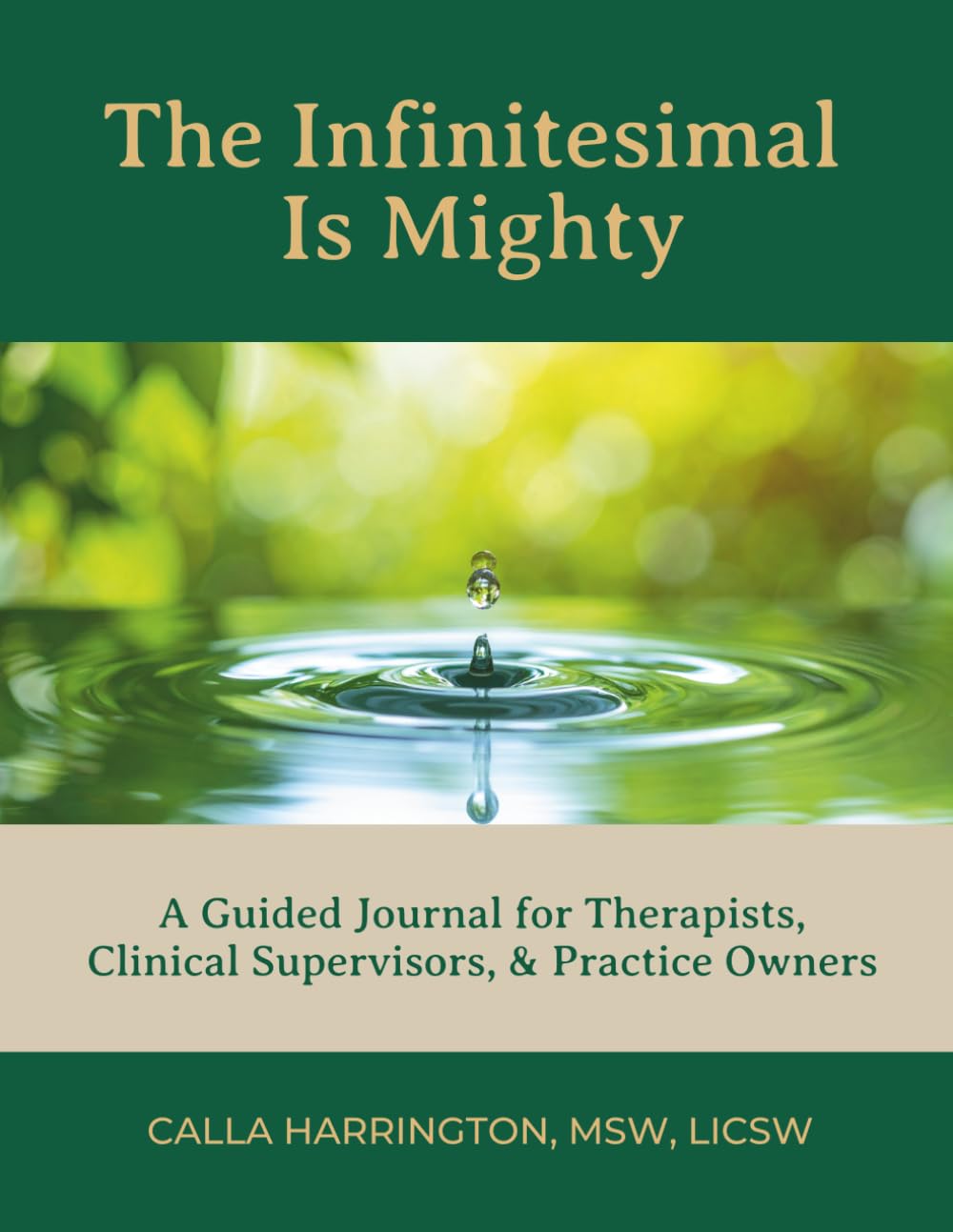 The Infinitesimal Is Mighty: A Guided Journal for Therapists, Clinical Supervisors, & Practice Owners