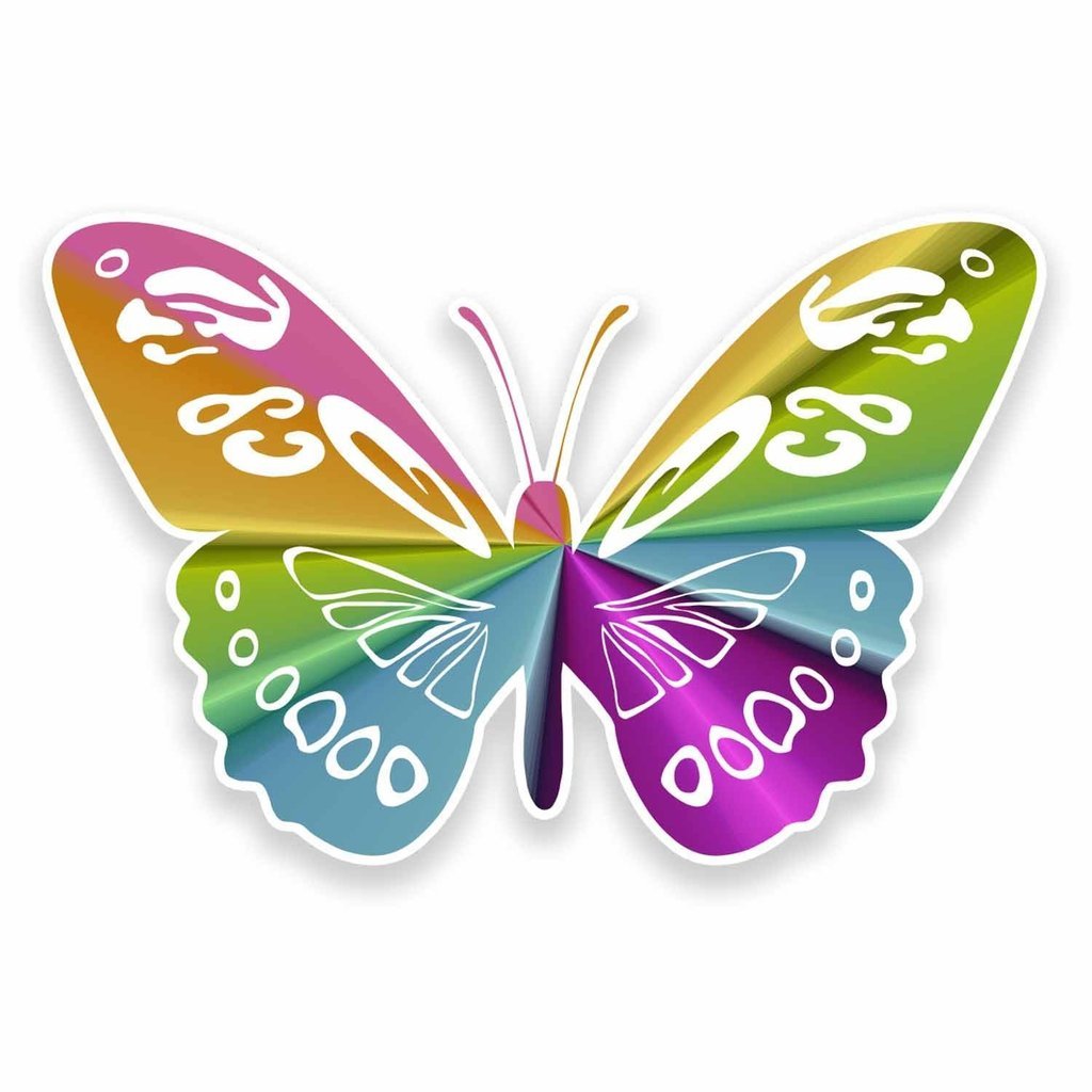 2 pegatinas de vinilo de 10 cm y 100 mm con diseño de mariposa, para ordenador portátil, coche, viaje, equipaje
