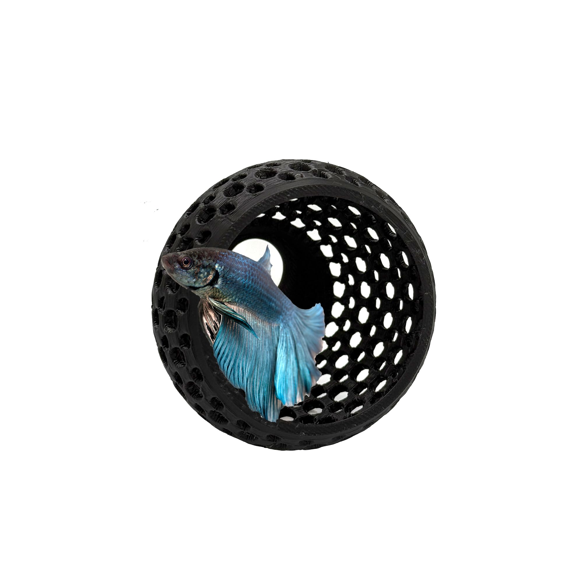 CTWPets Betta Bulb Hide 2.0