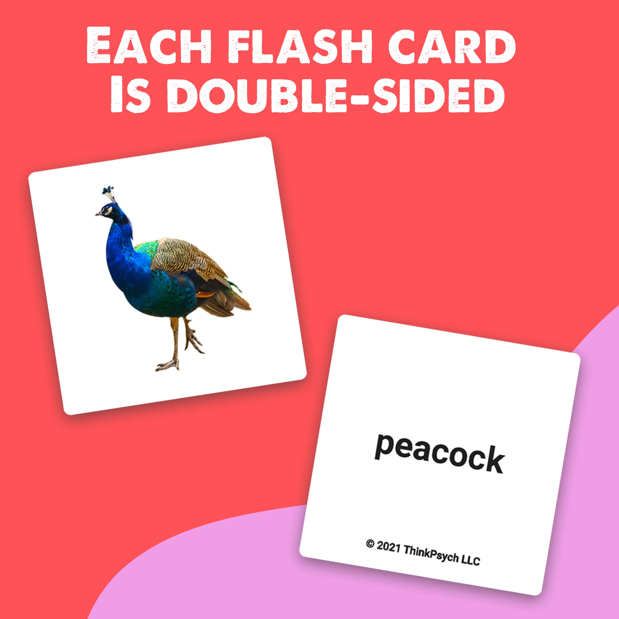 ThinkPsych 150 Advanced Noun Flash Cards for Toddlers 24 Years