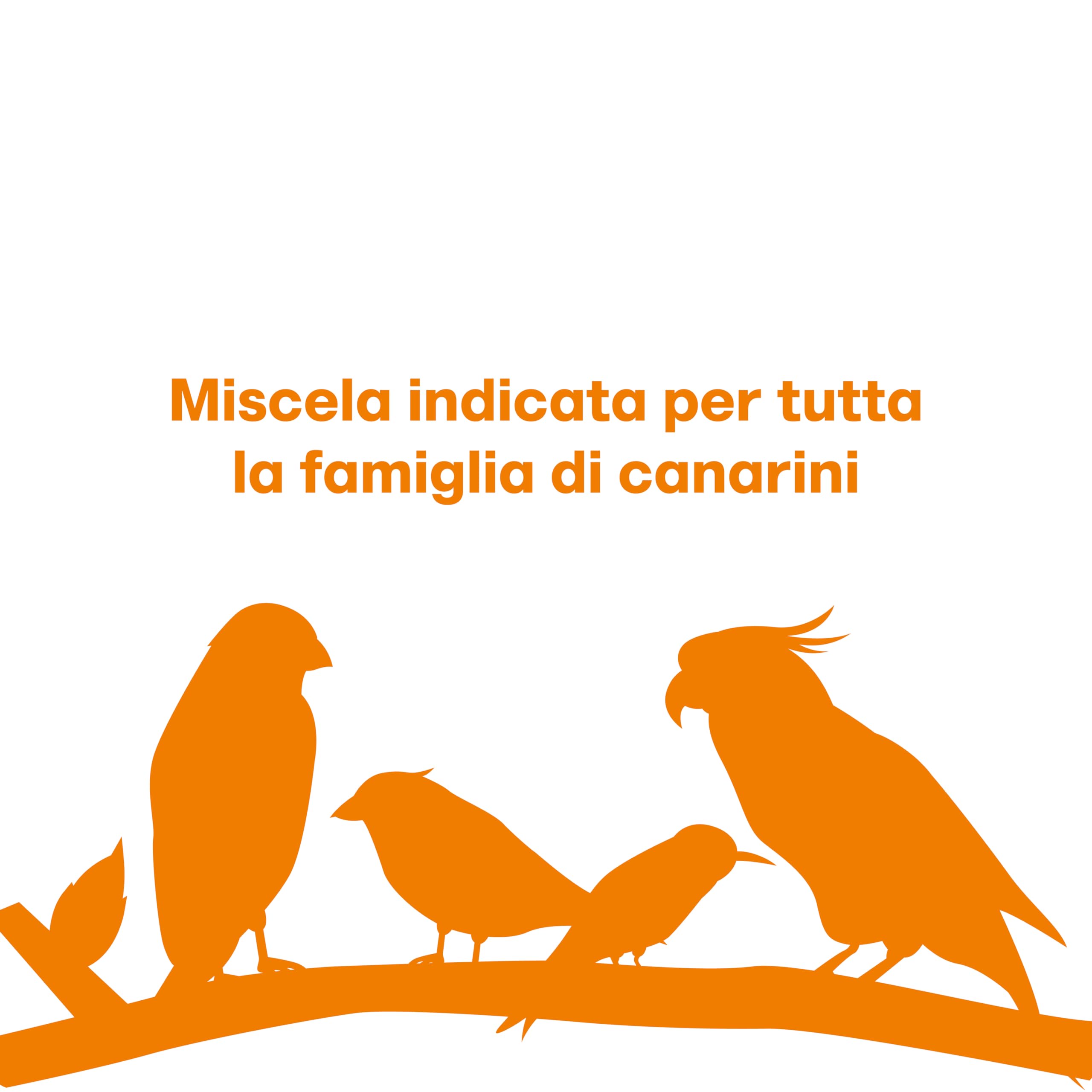 Il Contadino - Antichi Becchimi | MISCUGLIO per CANARINI | Formula Ricca di Semi Selezionati Adatta per Tutto L'Anno, No OGM, 100% Vegetale, Assenza di scarti. qualità Superiore (1 kg)