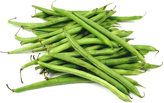 UtopiaSeeds Heirloom Burpee Stringless Green Pod Seeds - Bush Beans - Stringless Bean Seeds