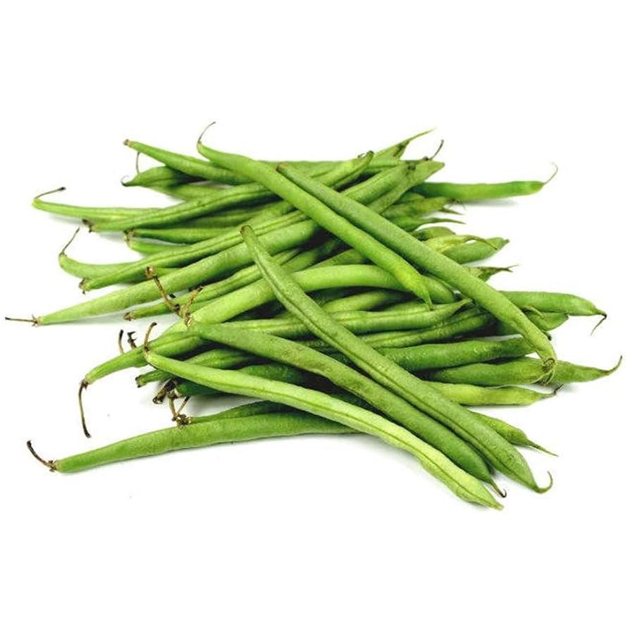 Beans Win 専用 Broad Windsor Fava Bean Seeds - The Plant Good Seed Company