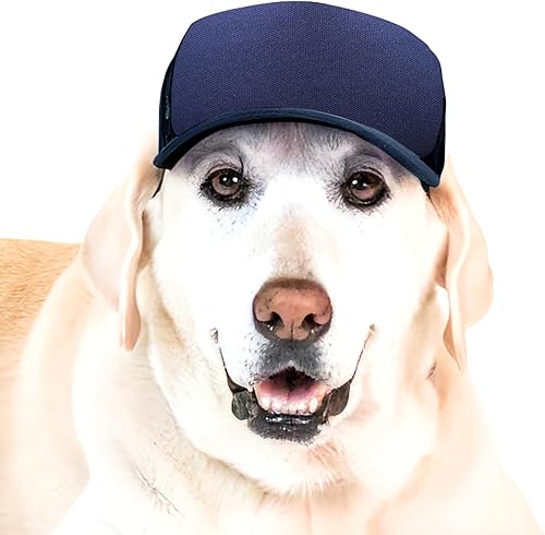 PupLid Gorras de camionero para perros (tamaño grande), protección solar elegante de alta calidad para el perro moderno, ajustables para un ajuste