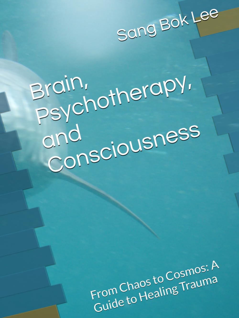 Brain, Psychotherapy, and Consciousness: From Chaos to Cosmos: A Guide to Healing Trauma