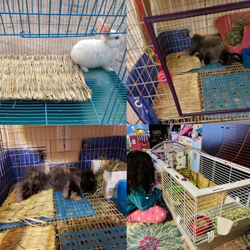 PINVNBY 6 Pack Rabbit Grass Mat,Bunny Natural Straw Woven Bed,Small Animal Cages Hay Nest Sleeping,Chewing,Nesting and Toys for Rabbits Guinea Pig Hamster Hedgehog and Squirrel Bed Mat - Image 2