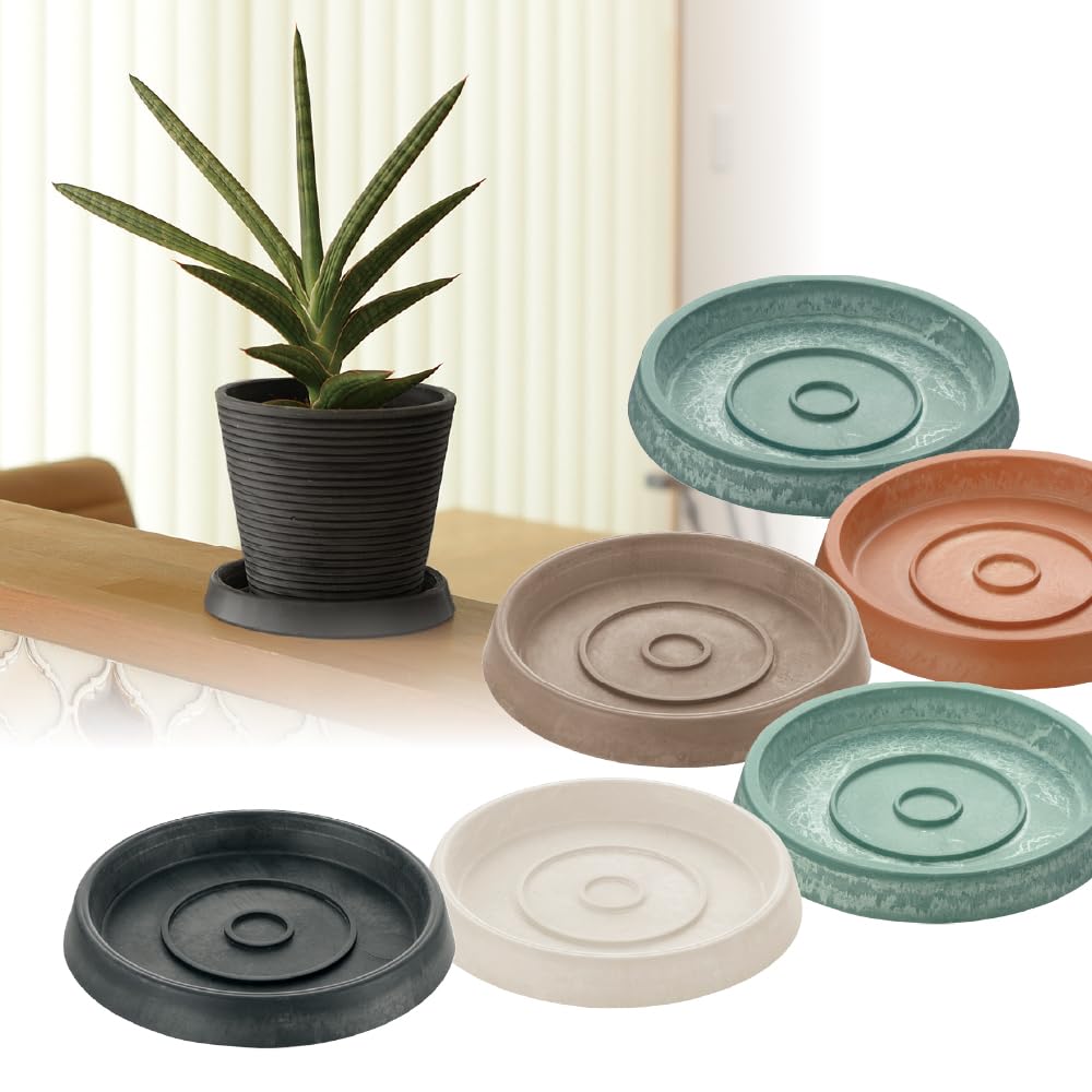 Richell Botany Plate Type 12 Mint Green