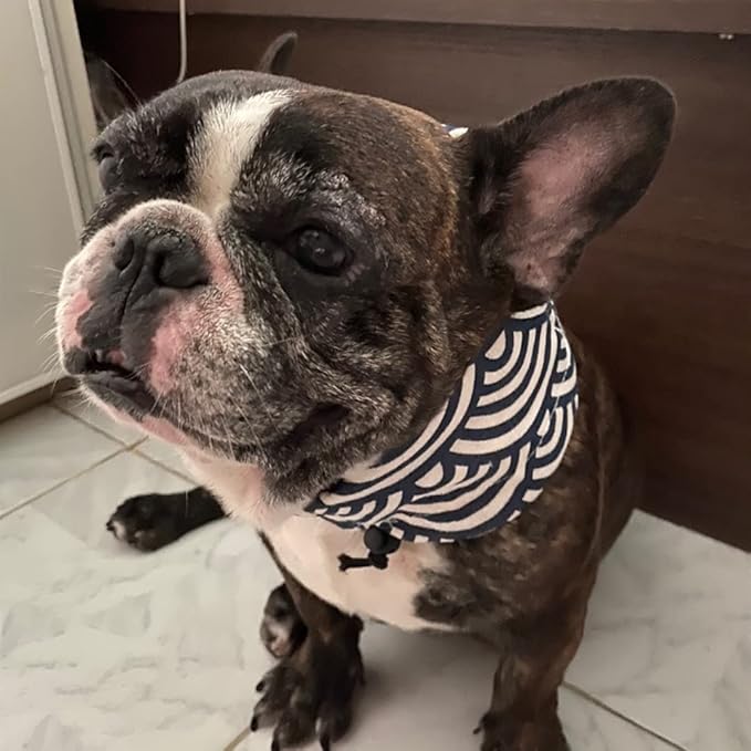 Amazon クールネック クールスヌード 熱中症対策 犬用 フレブル フレンチブルドッグ 中型犬 大型犬 夏 Km501g 24hours ベーシック首輪 通販