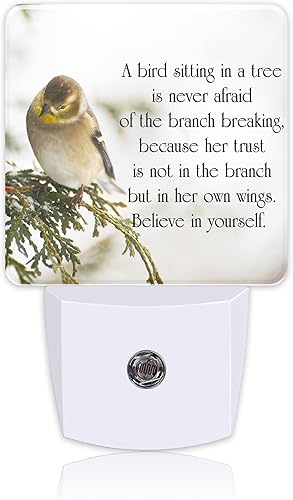 Luces nocturnas enchufables, cita inspiradora sobre la vida, luz nocturna enchufable a la pared, sensor de atardecer a amanecer, luz nocturna LED