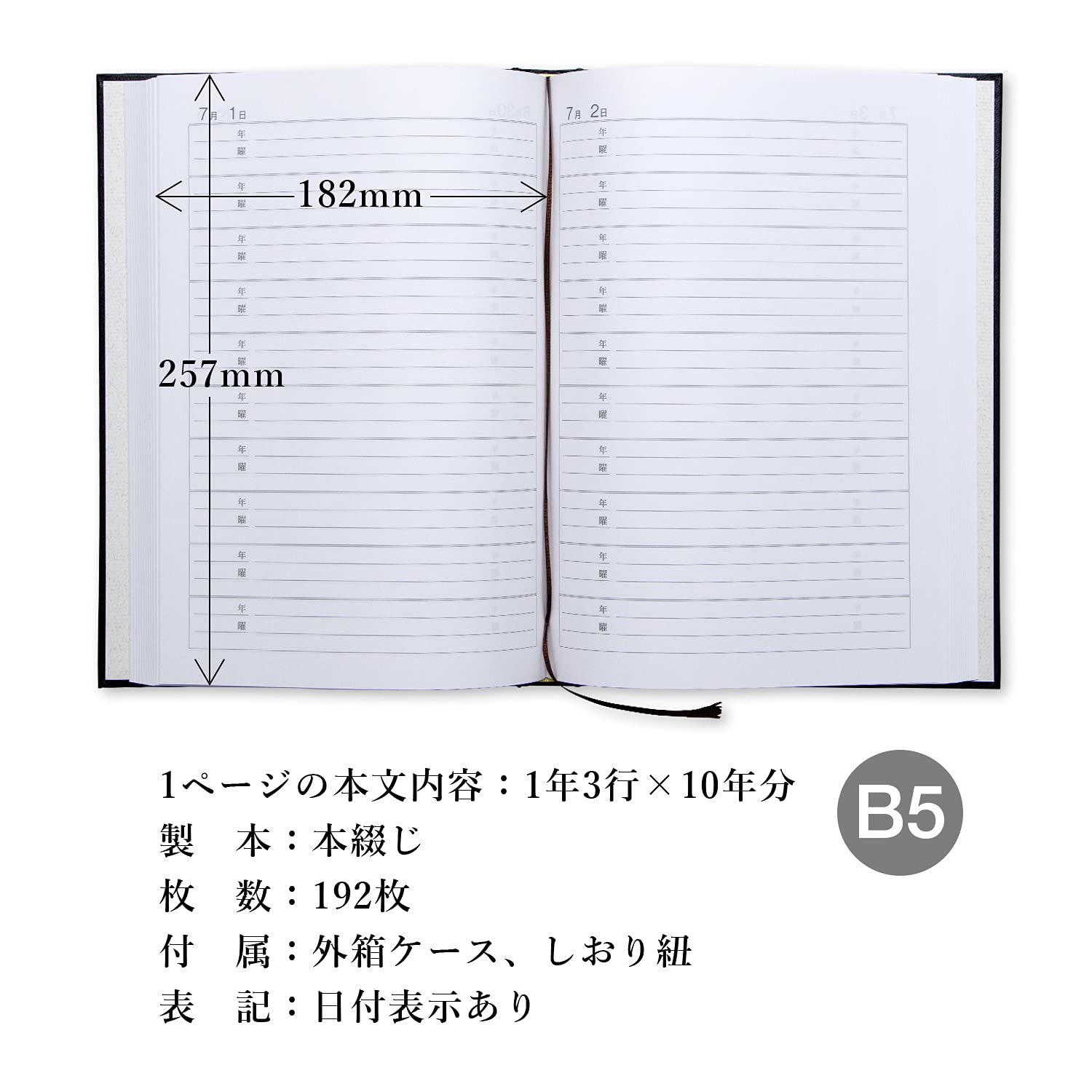 アピカ 10年日記 横書き D305
