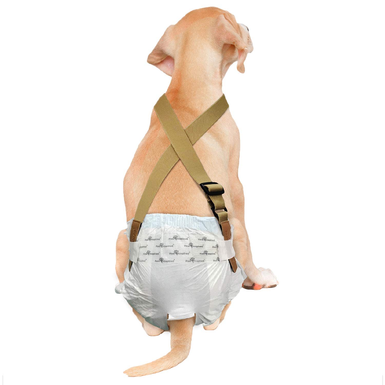 PAW Inspired Dog Diaper Suspenders, Brown, Medium/Large