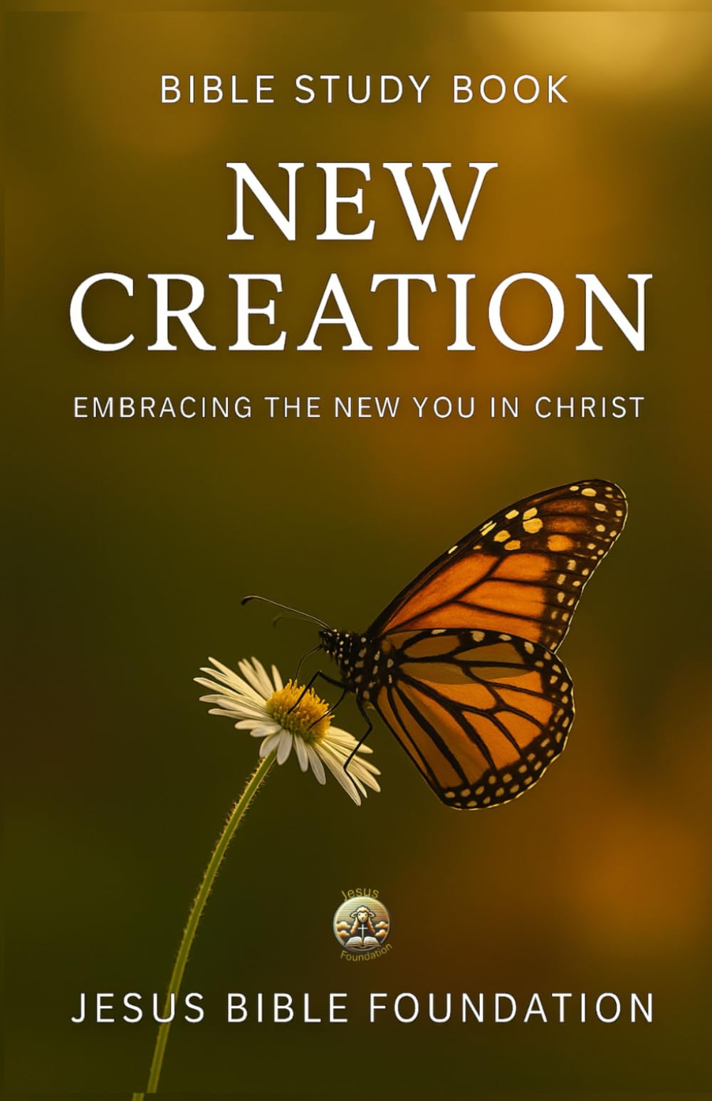 Bible Study Book New Creation: Embracing the New You in Christ (Identity in Christ: Discovering Who You Are Through God’s Eyes)