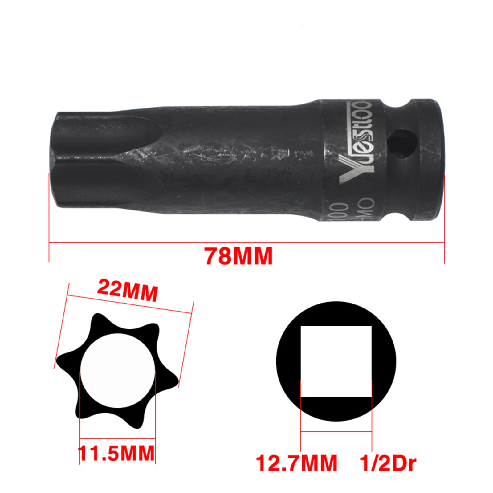 Amazon.com: Yuesstloo T100 Camshaft Screw Removal Socket  