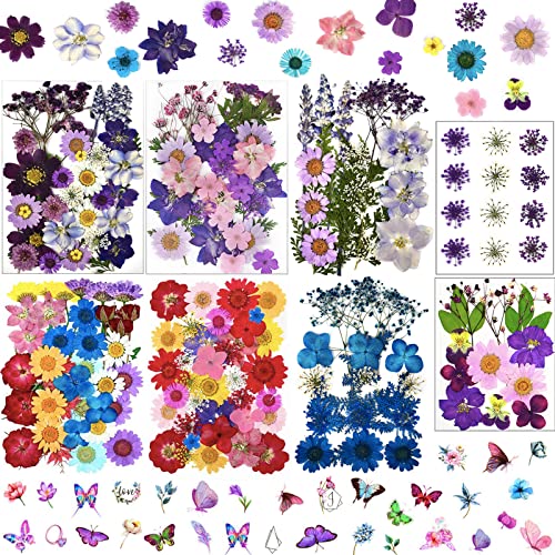 Flores prensadas secas naturales para manualidades miniatura 1