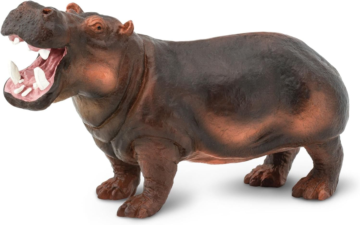 Safari Ltd. Hippopotamus Figurine - Lifelike, Hand-Painted 5