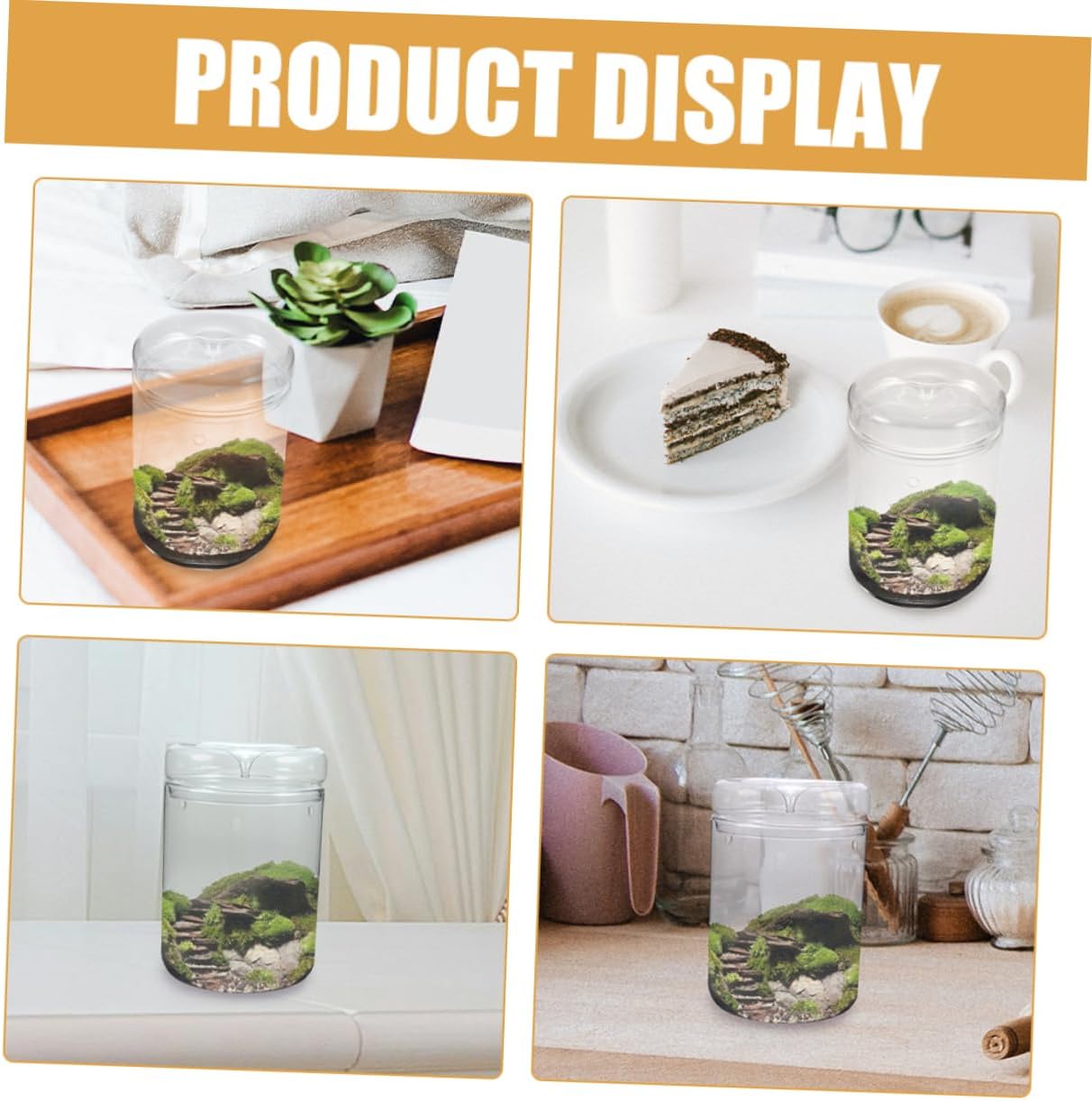 Glass Terrarium with Lid DIY Hydroponic Vase for Micro Landscape Planting Glass Planter for Desktop Decor Suitable for Indoor Gardening