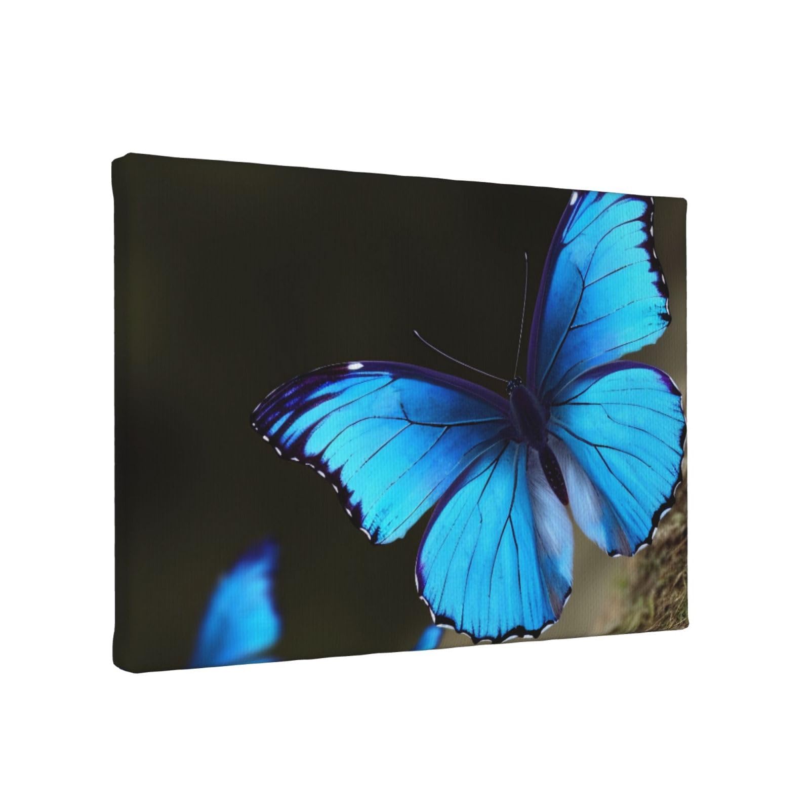 YKLJG Outdoor Beautiful blue butterfly Printed Wall Art Canvas Painting 30x20 CM Wooden Framed Picture Painting Artwork Prints for Bedroom Kitchen Home Office Decor