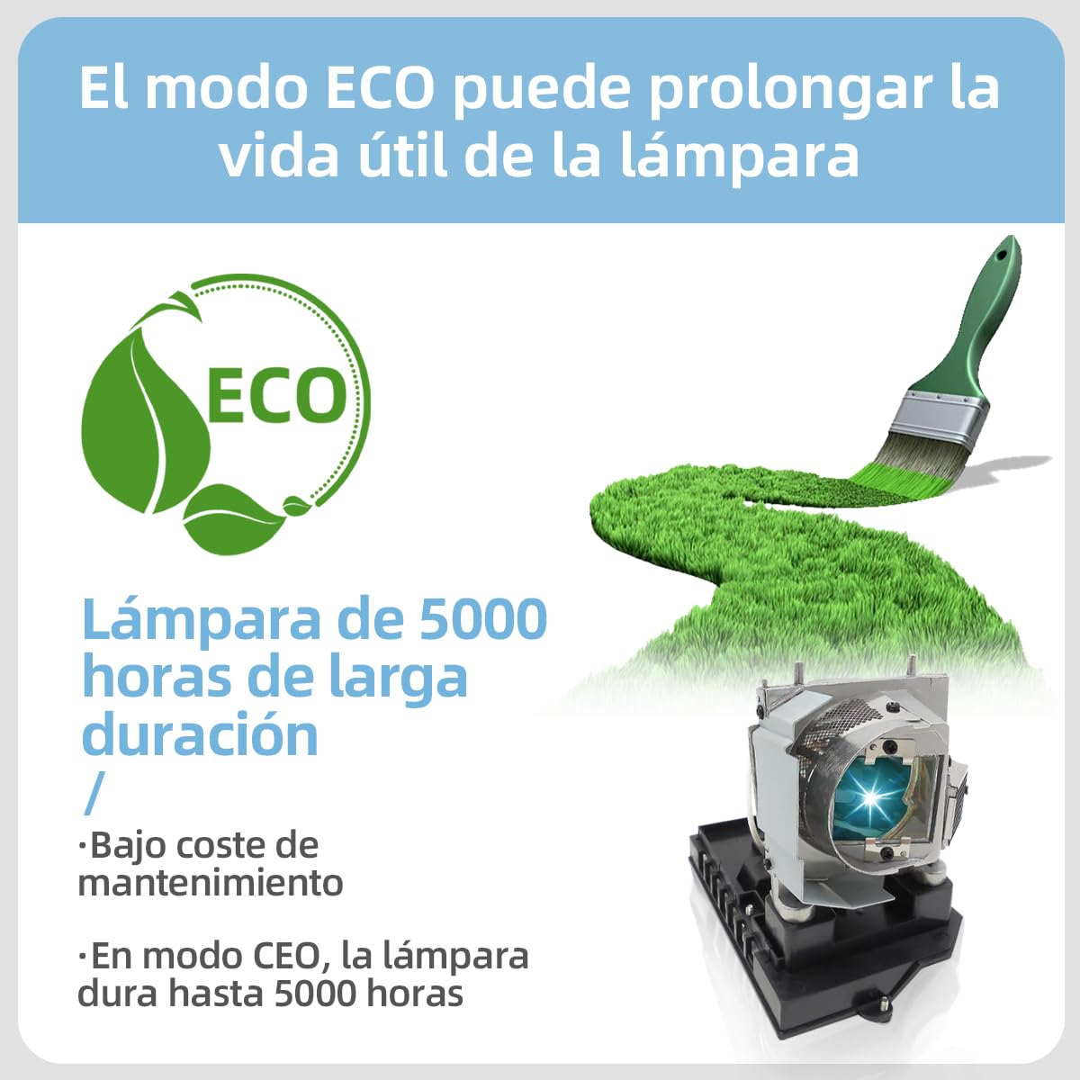 NP20LP Lampada proiettore di ricambio con alloggiamento per NEC U300X, U310W Videoproiettore