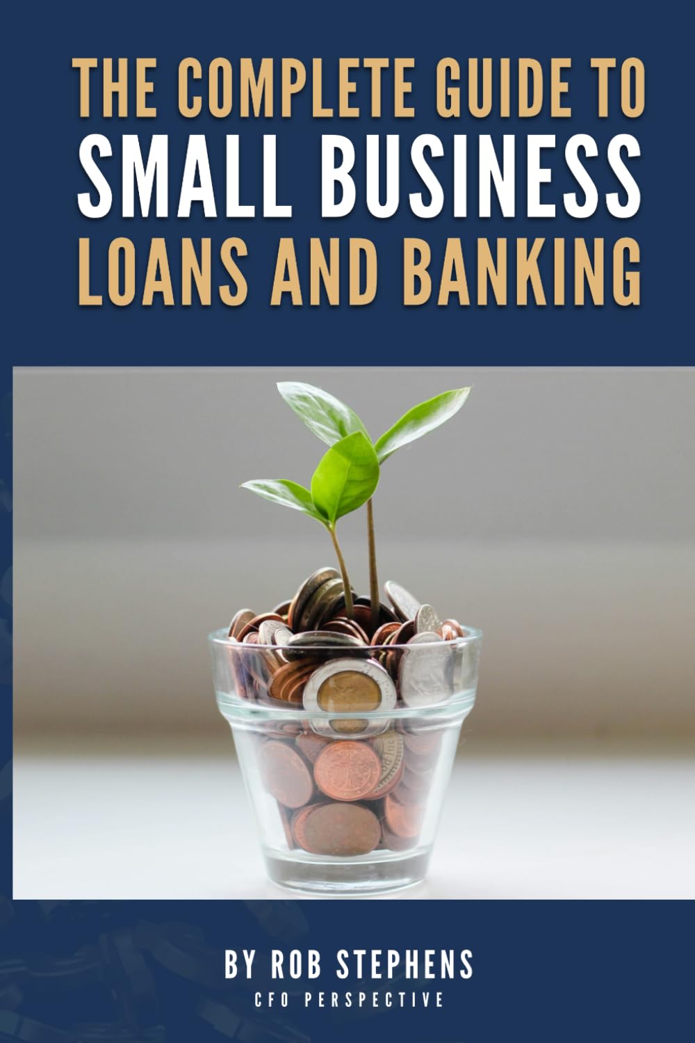 The Complete Guide To Small Business Loans and Banking: Ways You Can Reduce Risk, Reduce Costs, and Increase Income