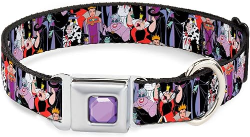 buckle-down dc-wdy295-l dybf Princesa Gem Close perro collar, Large1526", Multicolor