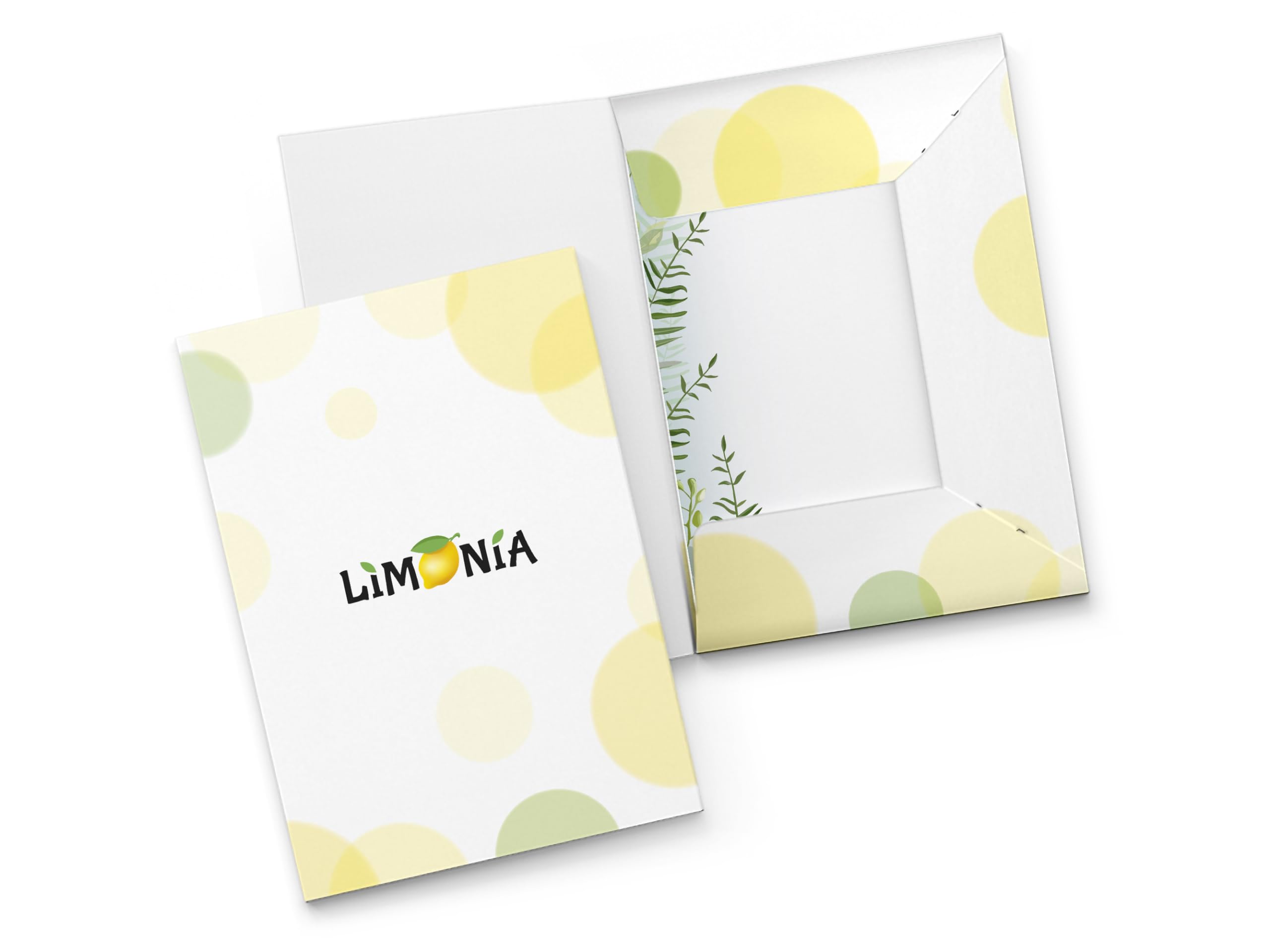 Briefpapier-Set 250 Druckerpapier DIN A4 + 250 Umschläge DIN-lang haftklebend NATUR-LOOK Blätter Zweige beidseitig beschriftbar und bedruckbar Frühlingspost Ostern Taufe Kommunion Konfirmation