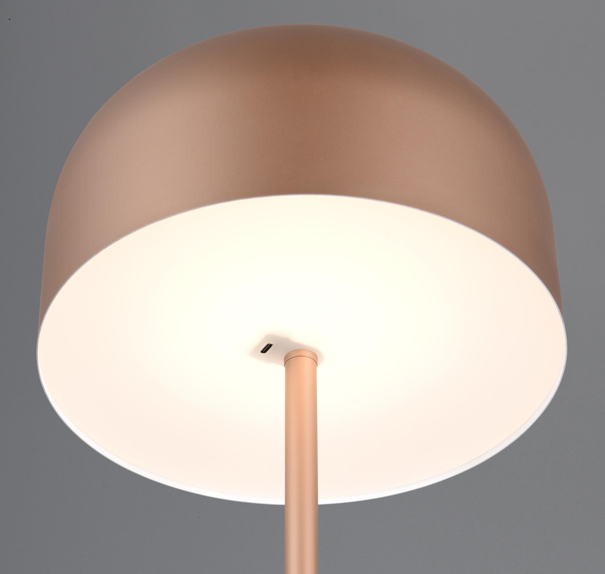 Reality Leuchten lampa stojąca LED z akumulatorem Jeff R49151165, metalowa kawa, w zestawie 2,5 W LED