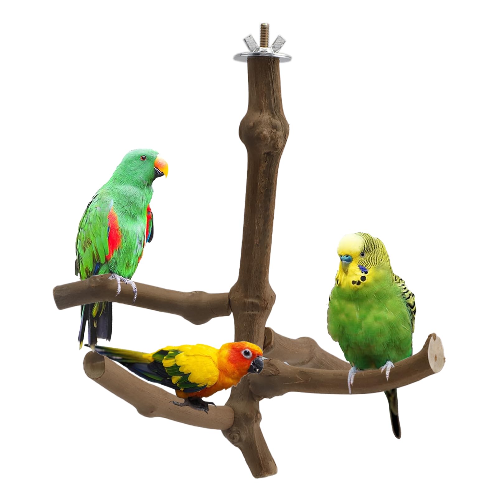 5pcs Parakeets Toys Natural Grape Wood Perches for Bird Cage, Bird Cage Accessories Bird Playground for Cockatiel Canary