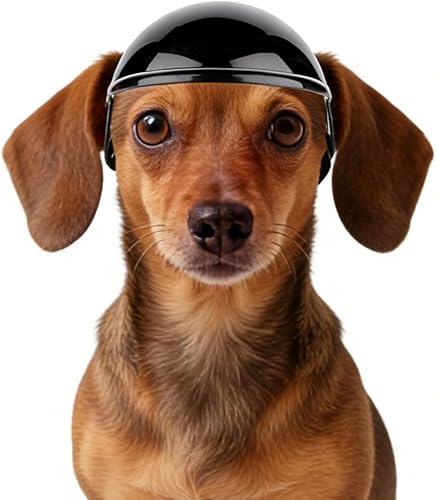 Namsan Casco para perros pequeños y medianos, cascos de motocicleta con orificios para las orejas, casco para exteriores para protección de la Negro