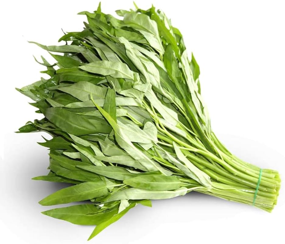 Green Water-Spinach Seeds Pack of 112-image-45