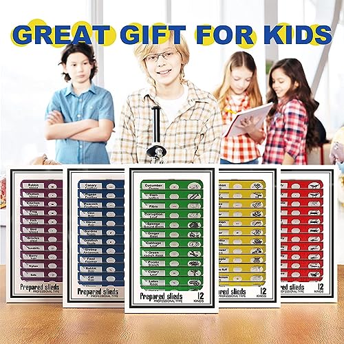 Plastic Prepared Microscope Slides, Cainda 60pcs Animals Insects Plants Flowers Biological Sample, Stereo Microscope Slide for Students Adult Biology Science Programs