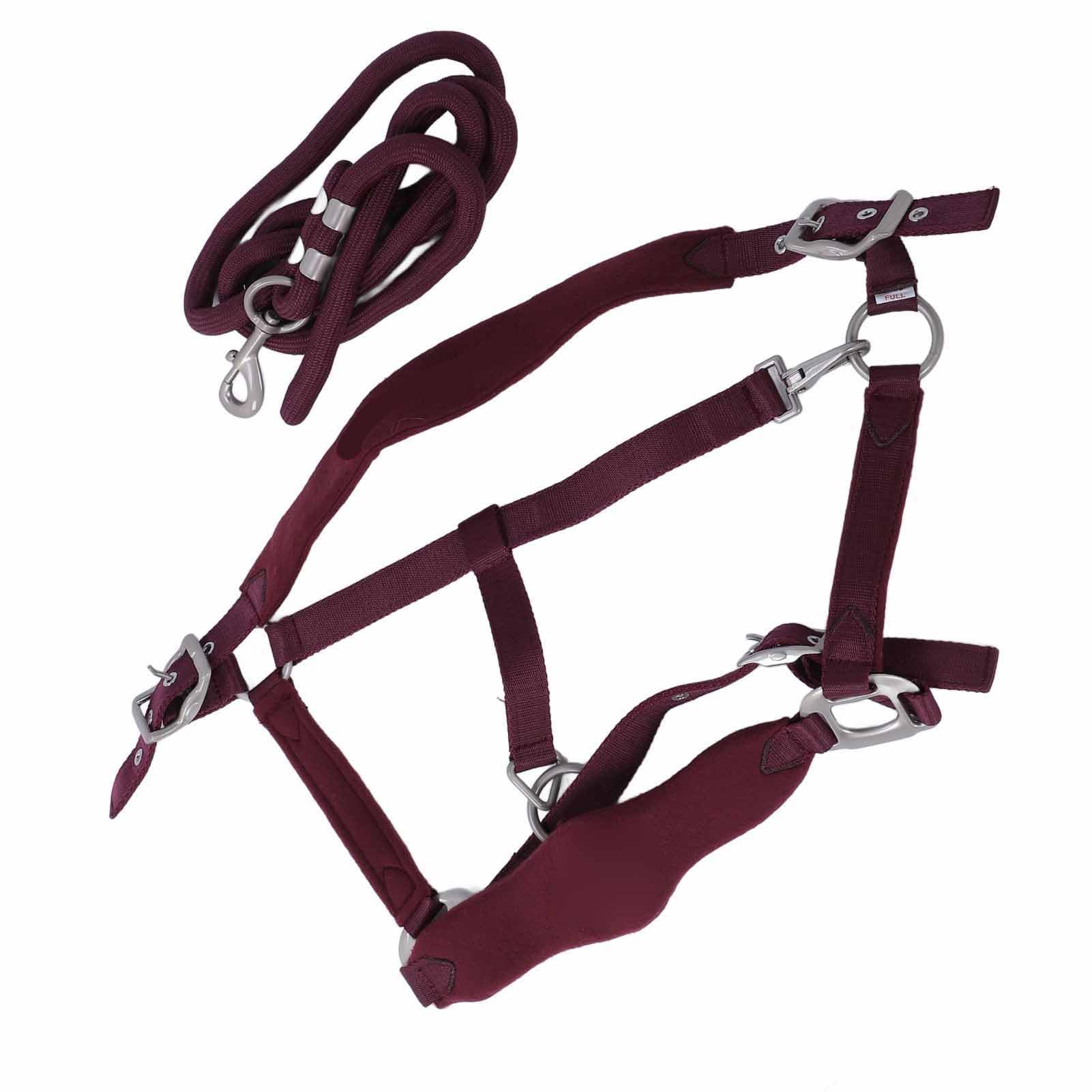 Tbest Weiche Gepolsterte Pferdehalter -Set Einstellbare Multifunktionale Pferde -Training Halfter für Unterschiedliche Größe, Pferdehalter für Trainingsbegeisterte (L)