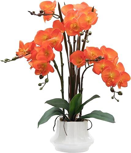 CXGS Planta de orquídea artificial de 20.9 pulgadas, orquídeas artificiales realistas de látex en jarrón de cerámica, orquídeas falsas blancas