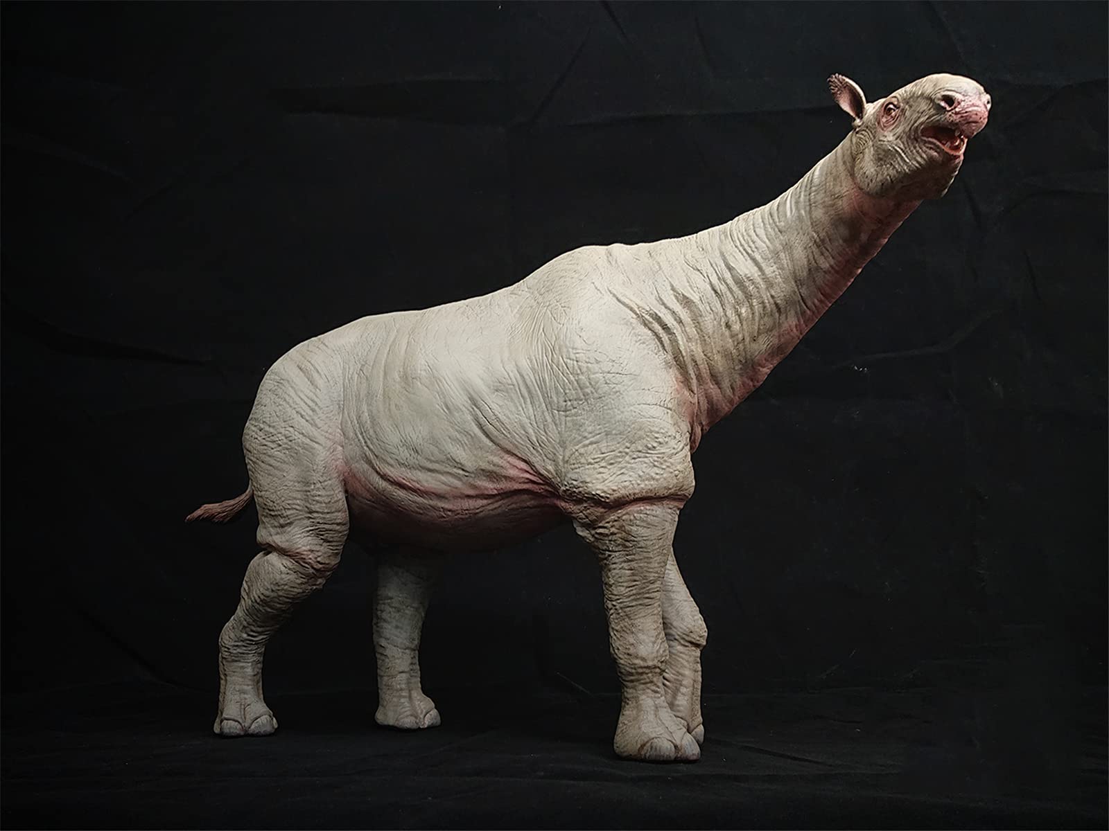 Amazon | DINONE 1/20 サイズ パラケラテリウム Paraceratherium