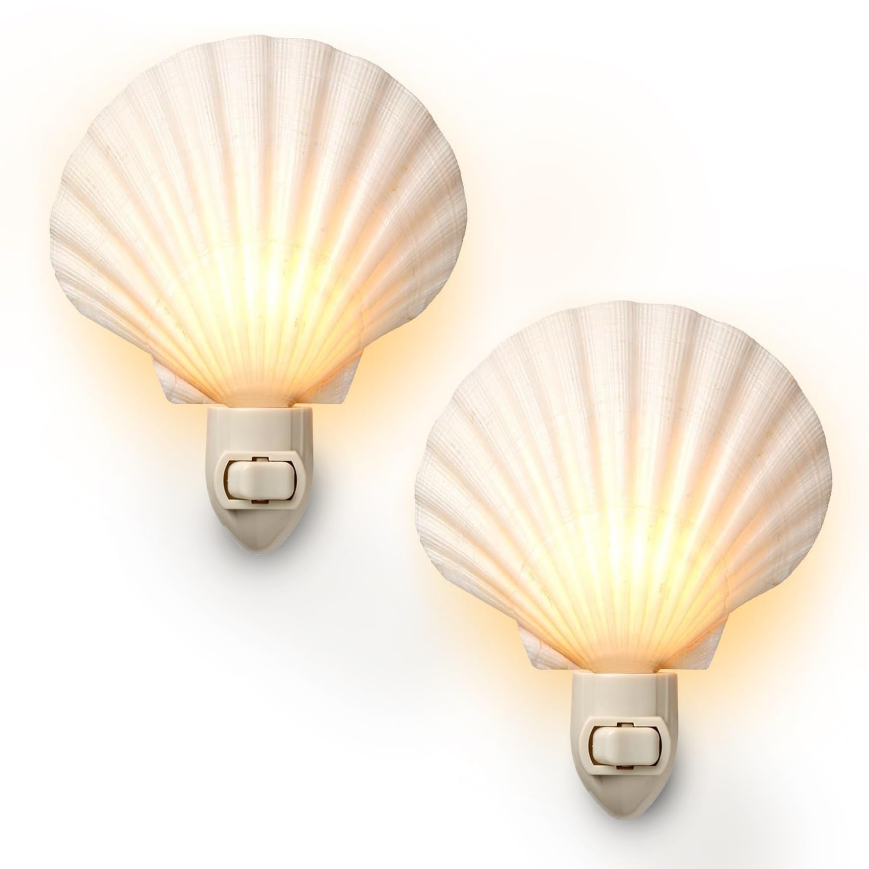 Tumbler Home Real Sea Shell Beach Night Light Real Natural Perfect for Beach Home Decor