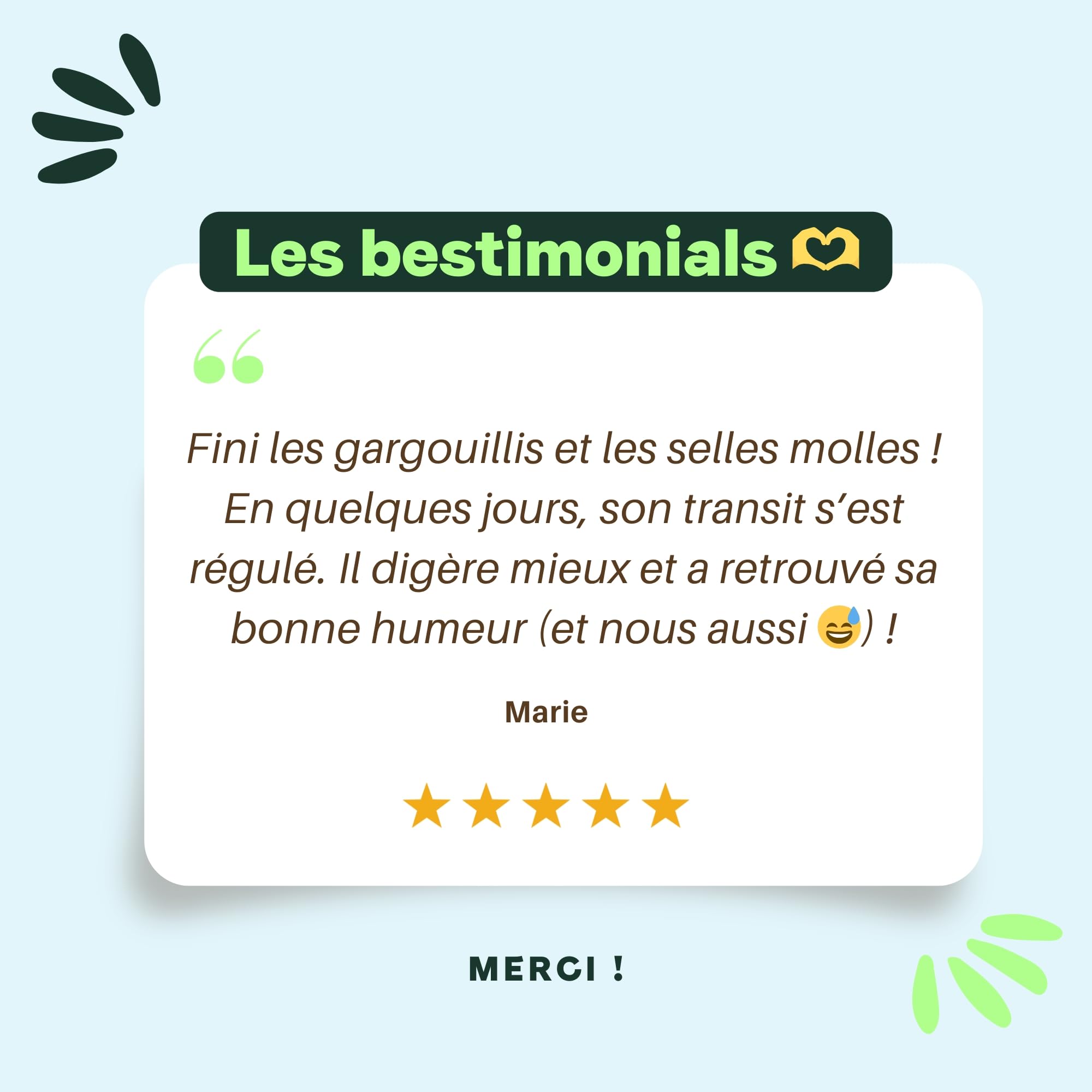 BESTI - Digestion | 120 Compléments Alimentaires Premium pour Chiens | Probiotiques, Prébiotiques, Postbiotiques | Flore Intestinale | Marque Française - Formule Vétérinaire | Au Poulet | 300 GR
