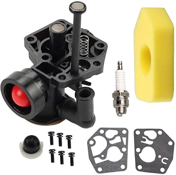 DFuerdivn 795477 Carburetor Compatible with BS 498811 795469 794147 699660 carb with 698369 Air Filter Gasket & Diaphragm Kit