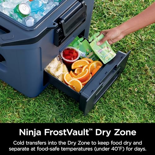 Image of Ninja FB131BL FrostVault 30qt Hard Cooler with Dry Zone, Integrated Fridge-Temp Dry Storage Drawer, Premium Heavy-Duty Insulated Cooler, Keeps Ice for Days, Lakeshore Blue