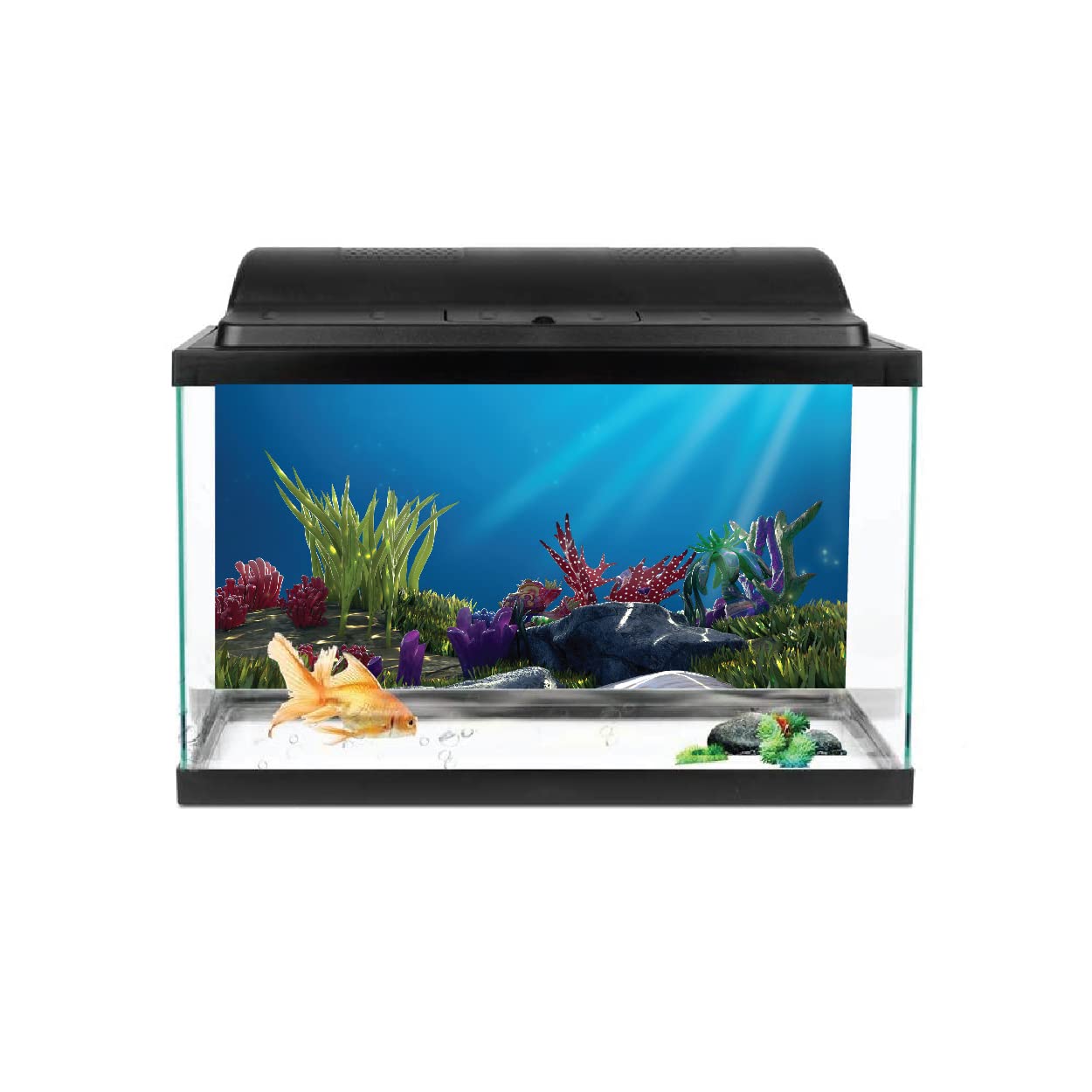 See full amazon price history chart for VVWV® Aquarium Fish Tank Background colourfull Stickers Waterproof Vinyl Printed Multicolored Sticker (91 X 41 CMS) VVWV® Aquarium Fish Tank Background colourfull Stickers Waterproof Vinyl Printed Multicolored Sticker (91 X 41 CMS) (B0BWFBML8Y) Amazon Price History, Amazon Price Tracker