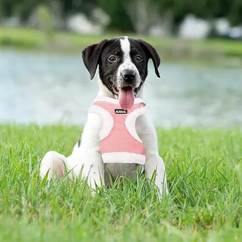 Miniatura 6 de AIITLE Juego de arnés de chaleco y correa para perro, arnés para perro sin tirones a prueba de escape, con hebilla de seguridad y bandas