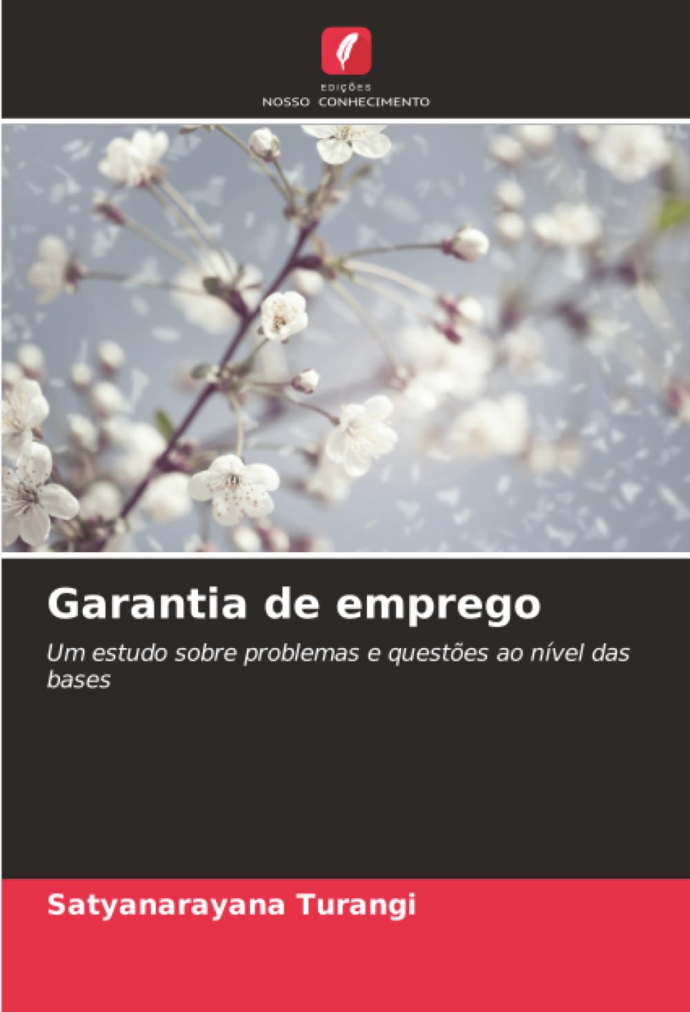 Garantia de emprego: Um estudo sobre problemas e questões ao nível das bases