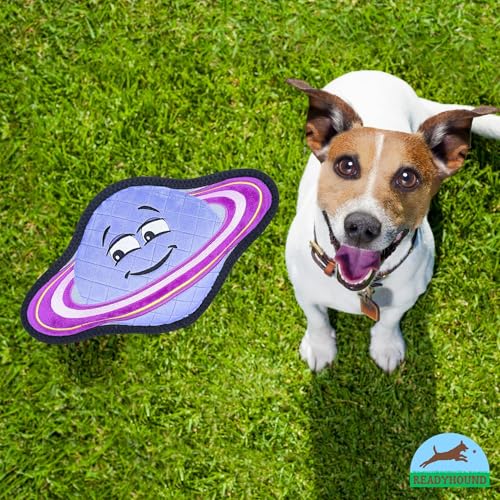Juguete Mordible Sónico Durable para Perros ReadyHound miniatura 4