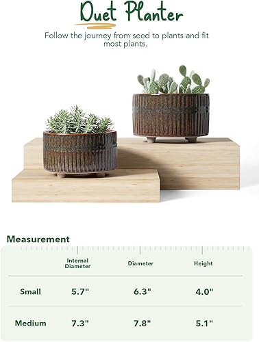 Miniatura 6 de LE TAUCI Macetas para suculentas, maceta de cerámica de interior de 6.5 + 8 pulgadas con orificio de drenaje, moderna maceta decorativa redonda,